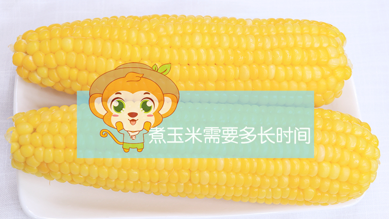 煮玉米需要多長時(shí)間