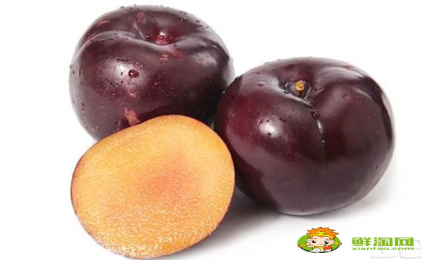 黑布林孕婦可以吃嗎，黑布林和紅布林哪個(gè)有營養(yǎng)