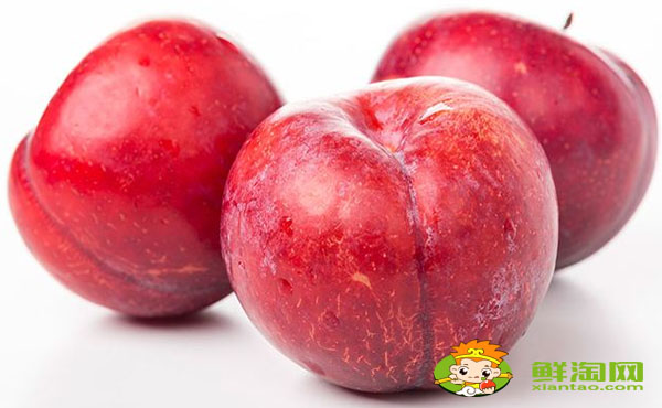黑布林孕婦可以吃嗎,黑布林和紅布林哪個(gè)有營養(yǎng)